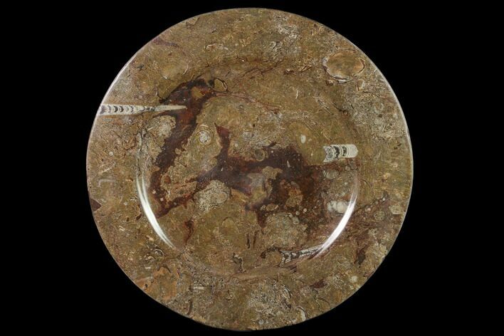 Fossil Orthoceras & Goniatite Round Plate - Stoneware #140061
